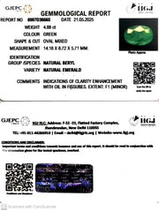 4.88/CT Natural Panna Stone with Govt. Lab Certificate (23310)